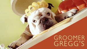 GROOMER GREGGS