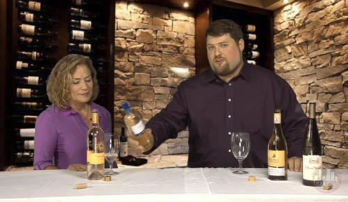 "What's in the Glass" Wine Show Websiode